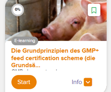 Bild mit einem Tier