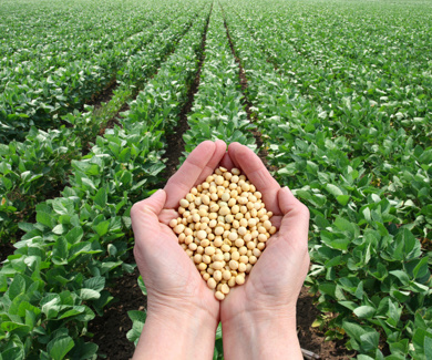 Extension of Supply Chain Model